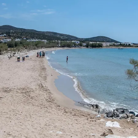 Lefkes Seaside Apartment