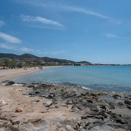 Lefkes Seaside דירה Alikí